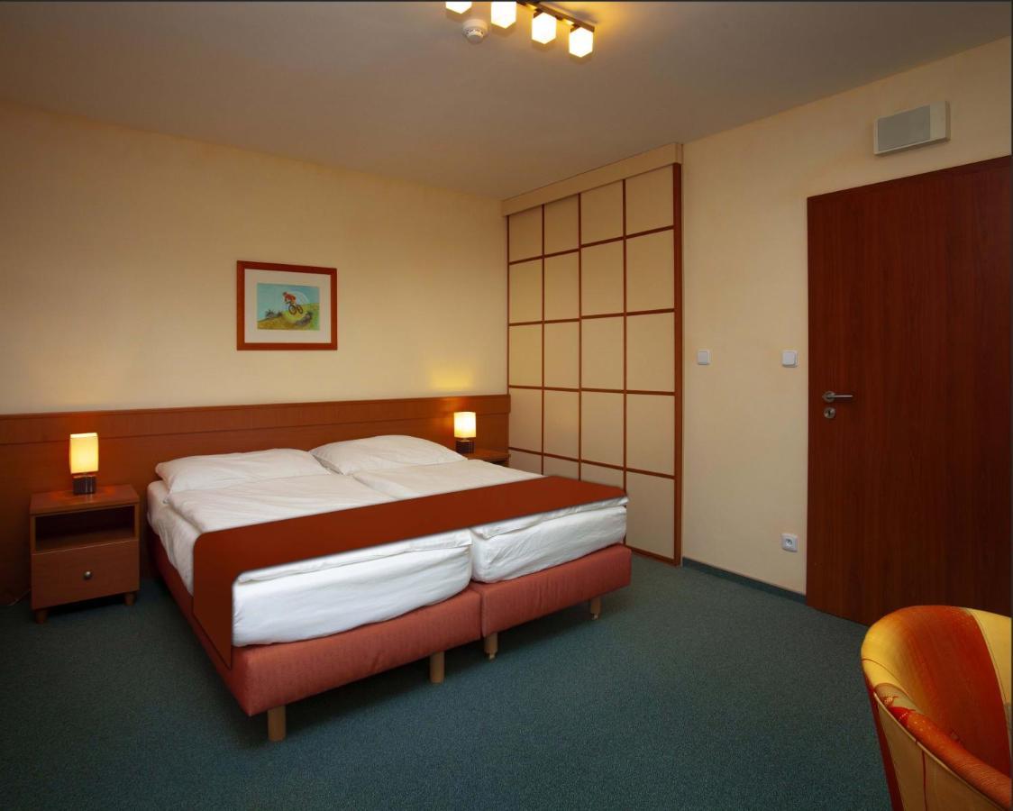 Hotel Petrovy Kameny Karlova Studánka 部屋 写真